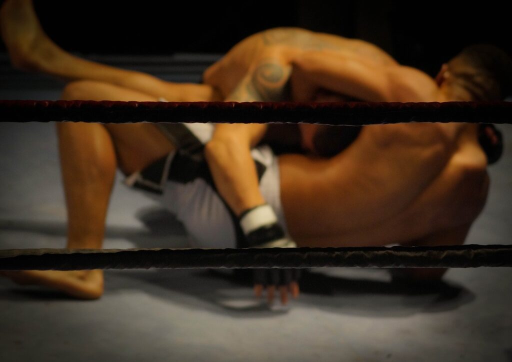 mma fighters i buren